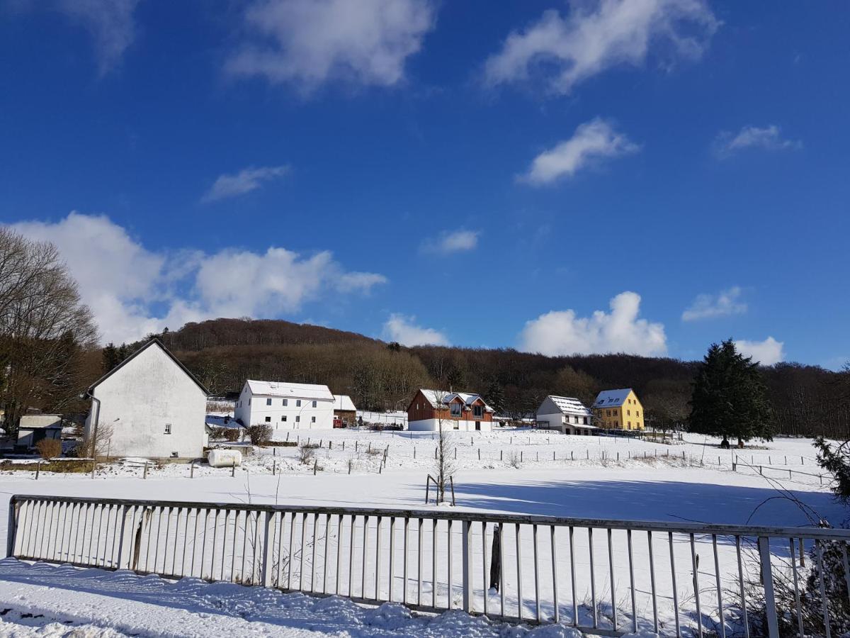 Bongard Waldhaus Nearby Nuerburgringヴィラ エクステリア 写真
